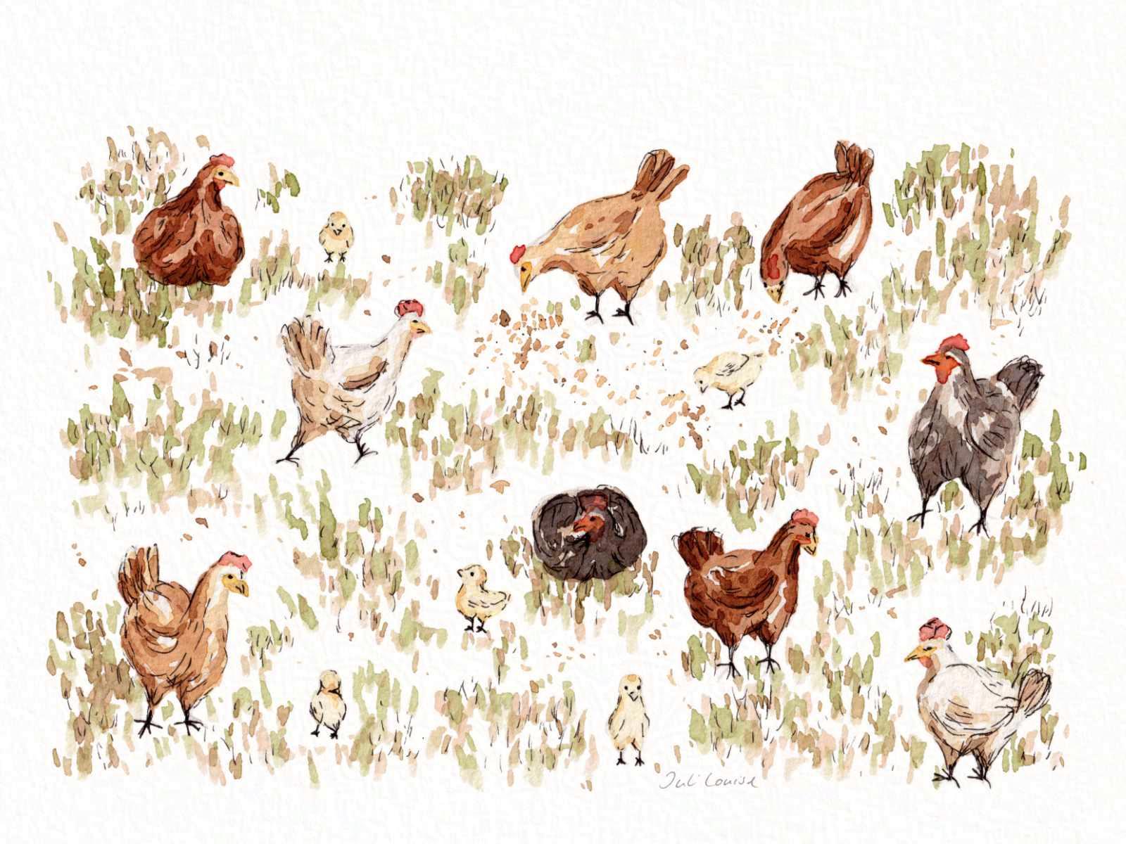 Eine Illustration, die freilaufende Hühner und Küken auf einer Wiese zeigt. Die Zeichnung wurde mit Aquarellfarben und Tusche erstellt.